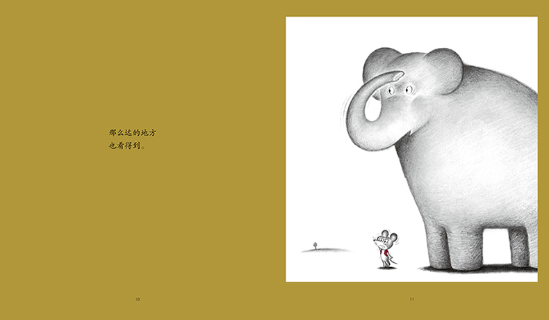 Little Brother Mouse Series Books 可爱的鼠小弟 Mandarin Chinese children Book 9787559646460 Yoshio Nakae