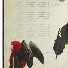 The Ultimate Witch-Lover's 2-Book Collection-Chinese