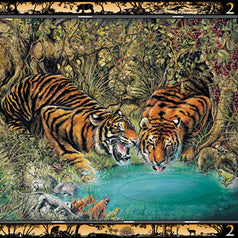 The Waterhole  来喝水吧 Chinese children Book 9787556025107