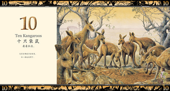 The Waterhole 来喝水吧 Chinese children Book 9787556025107