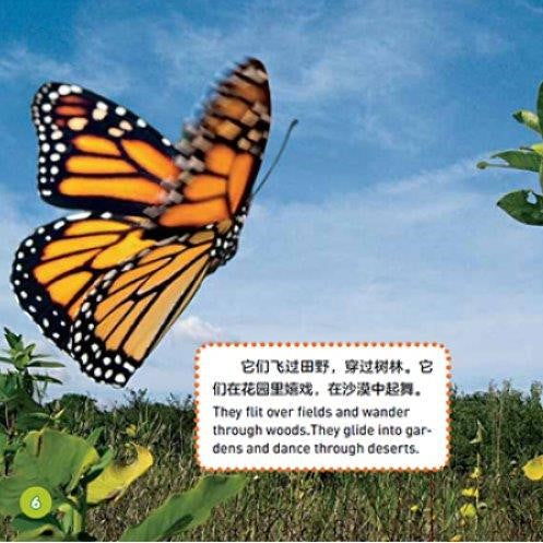National Geographic Kids: Explore My World, 8 Bilingual books in Chinese & English