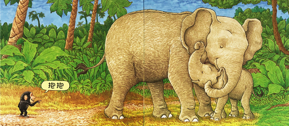 chinese children book baby toddler 抱抱 hug 9787533296049