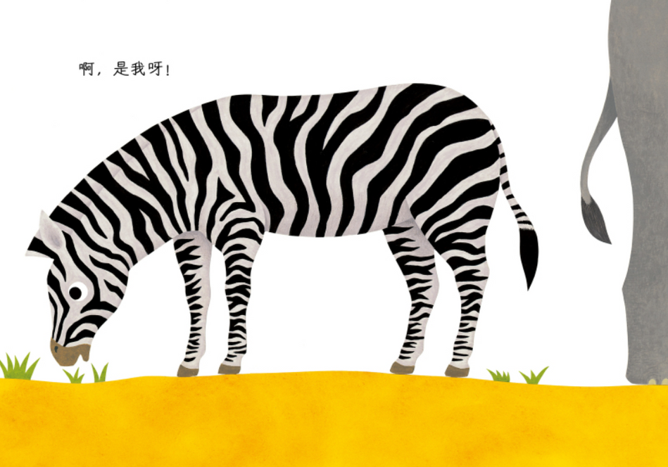 Who Is Behind Me 我的后面是谁呢 9787559622150 CHinese Books