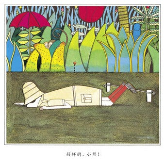 Bear Hunt Bear Goes To Town 捉小熊 小熊进城 Chinese children Book 9787550232112 Anthony Brown