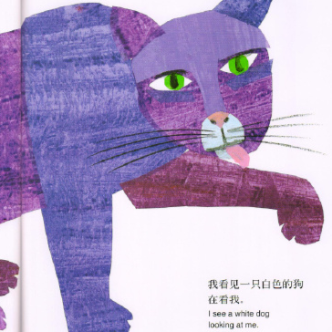 Brown Bear What Do You See 棕色的熊 你在看什么 Chinese children Book 9787533258764 Eric Carle
