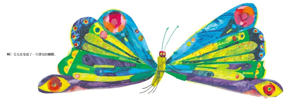 Eric Carle 9787533256739 《好饿的毛毛虫》The Very Hungry Caterpillar