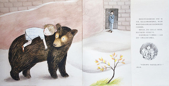 Finding Winnie 寻找维尼 Chinese children Book 9787556045549 Lindsay Mattick, Sophie Blackall