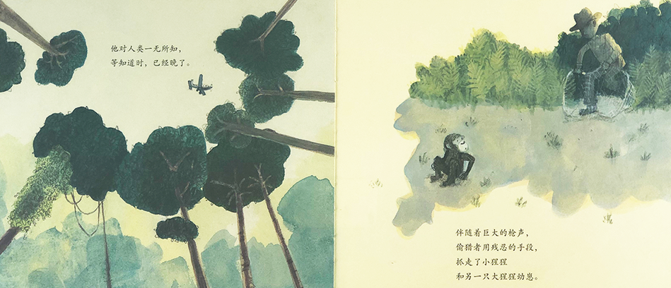 Ivan: The Remarkeable True Story of The Shopping Mall Gorilla 独一无二的伊凡 Chinese Children Book 9787550283435 Katherine Applegate