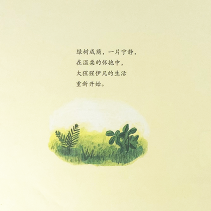 Ivan: The Remarkeable True Story of The Shopping Mall Gorilla 独一无二的伊凡 Chinese Children Book 9787550283435 Katherine Applegate