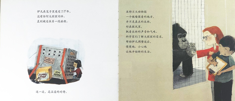 Ivan: The Remarkeable True Story of The Shopping Mall Gorilla 独一无二的伊凡 Chinese Children Book 9787550283435 Katherine Applegate