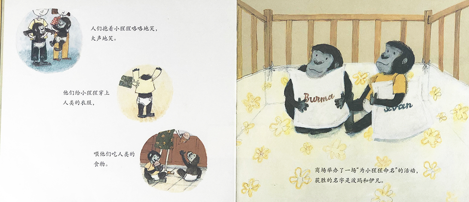 Ivan: The Remarkeable True Story of The Shopping Mall Gorilla 独一无二的伊凡 Chinese Children Book 9787550283435 Katherine Applegate