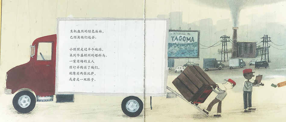 Ivan: The Remarkeable True Story of The Shopping Mall Gorilla 独一无二的伊凡 Chinese Children Book 9787550283435 Katherine Applegate