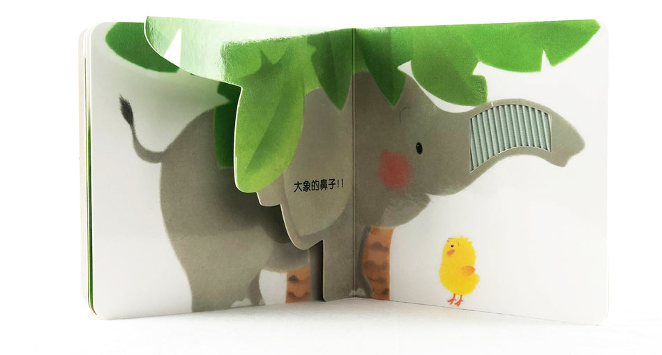 Little Piyo xiao ji qiu qiu 小鸡球球 Satoshi Iriyama 9787556051328 Chinese children's book