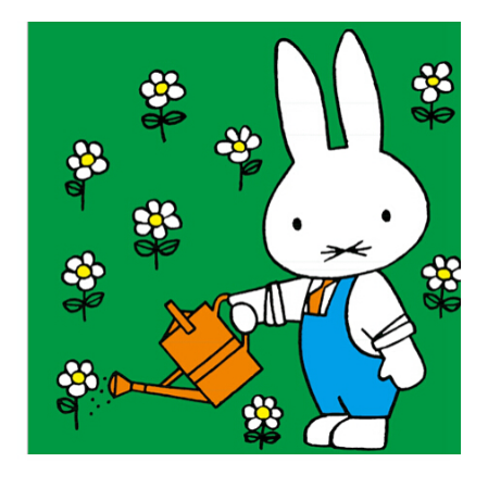 Miffy 10-Book Set (Bilingual Chinese & English) Chinese children's book 米菲双语绘本第一辑 9787115340726