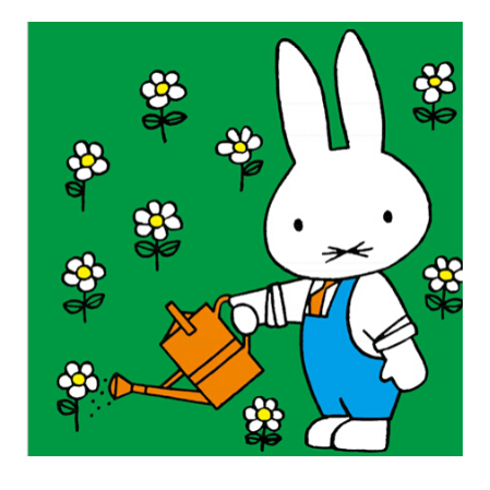 Miffy 10-Book Set (Bilingual Chinese & English) Chinese children's book 米菲双语绘本第一辑 9787115340726 