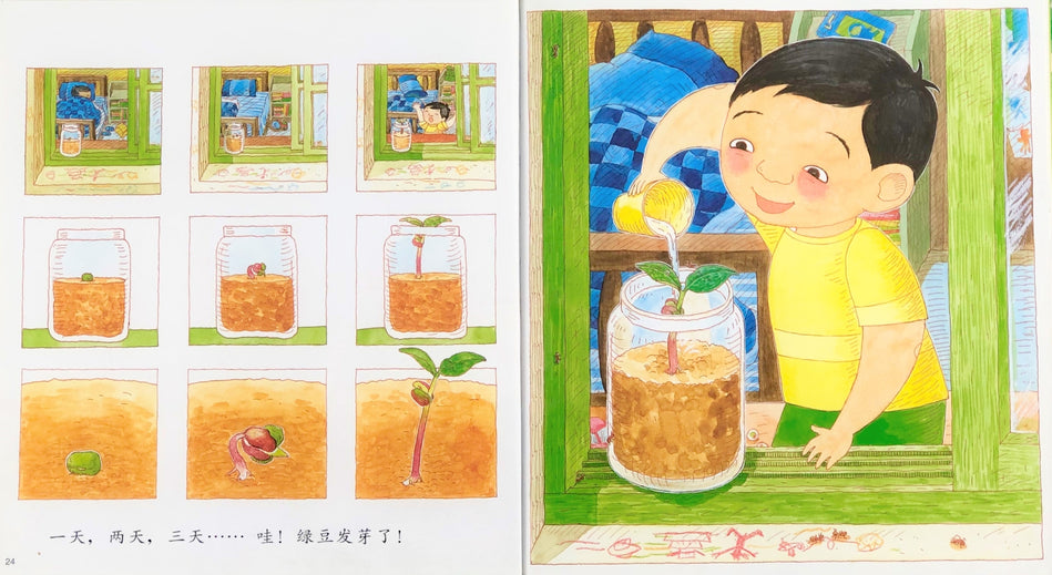 Momma, Let’s Buy Green Peas! 妈妈买绿豆 Chinese Children Book 9787533264062 曾阳晴