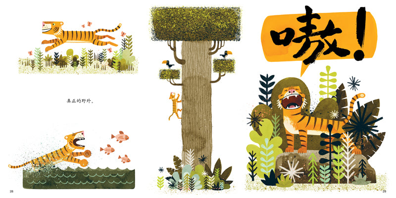 Mr. Tiger Goes Wild 老虎先生来撒野 Chinese Children Book 9787544836050 Peter Brown