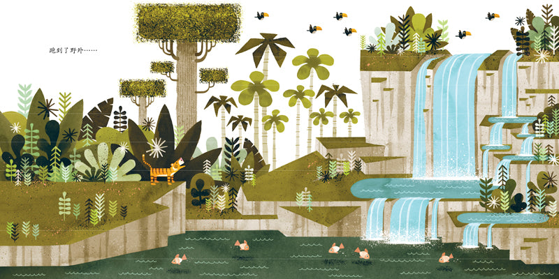 Mr. Tiger Goes Wild 老虎先生来撒野 Chinese Children Book 9787544836050 Peter Brown