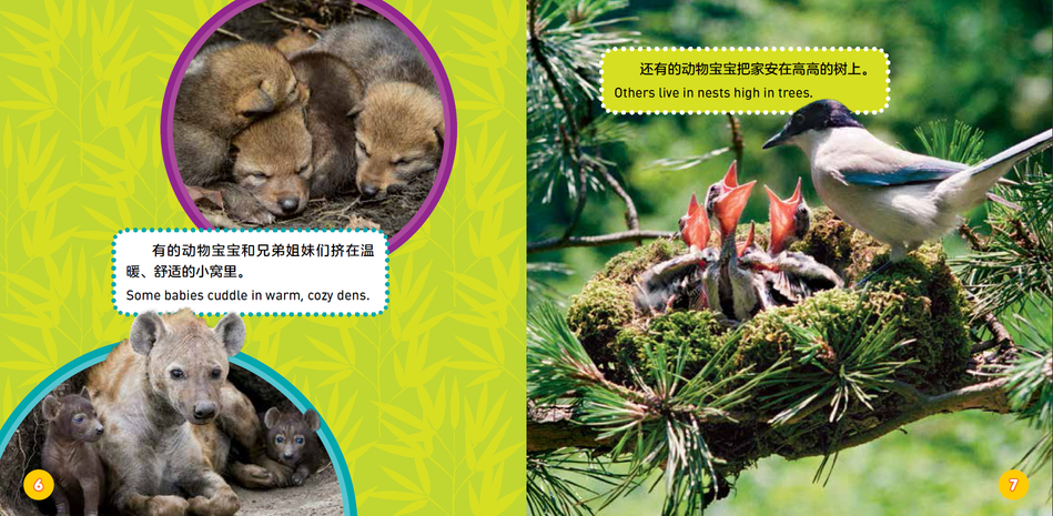 国家地理探索世界小百科双语 national geographic kids explore my world 9787559715661 children book chinese