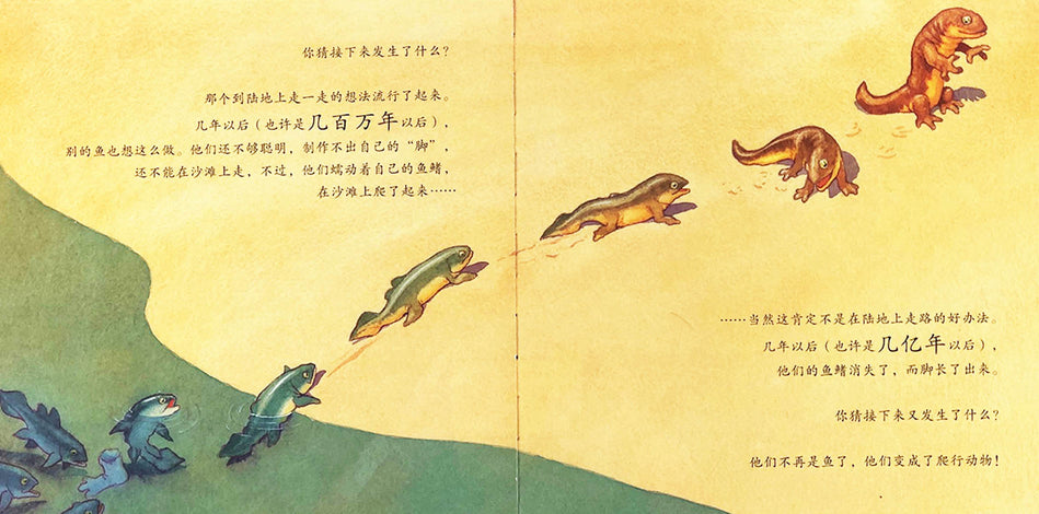 One Smart Fish 一条聪明的鱼 Chinese Children Book 9787556848812 Chris Wormell