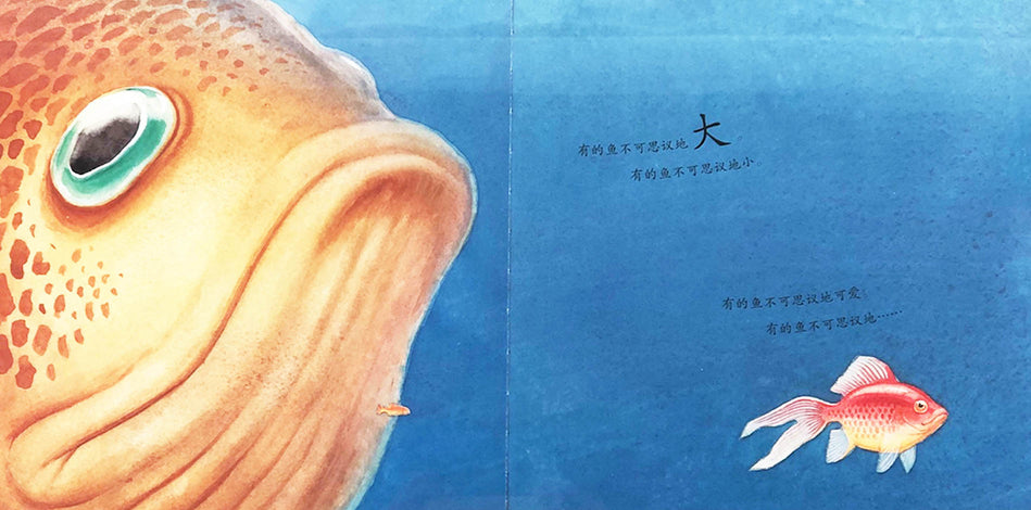 One Smart Fish 一条聪明的鱼 Chinese Children Book 9787556848812 Chris Wormell