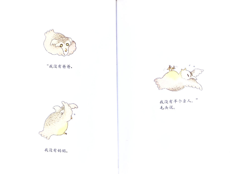 Owliver 毛头小鹰 Chinese Children Book 9787533264574 Robert Kraus