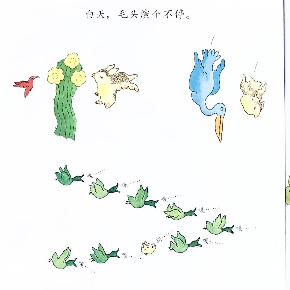 Owliver 毛头小鹰 Chinese Children Book 9787533264574 Robert Kraus