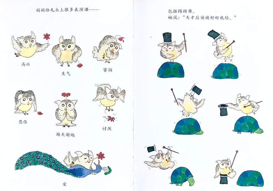 Owliver 毛头小鹰 Chinese Children Book 9787533264574 Robert Kraus