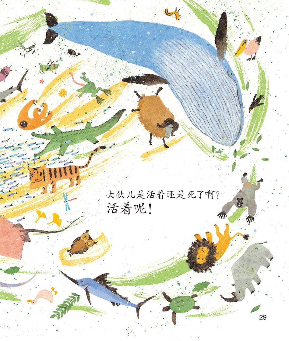 Science Around Me Chinese Children book pu gong ying ke xue hui ben 蒲公英科学绘本 Yeon-gyeong Junga 9787553656137