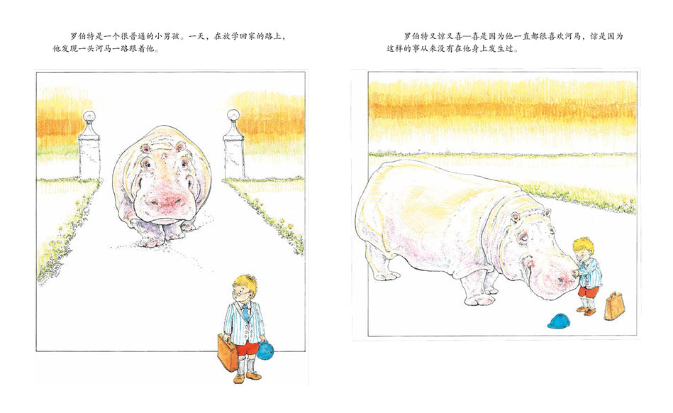 Steven Kellog Classic 谁跟在我后面 Chinese children Book 9787221150332 Margaret Mahy, Steven Kellogg
