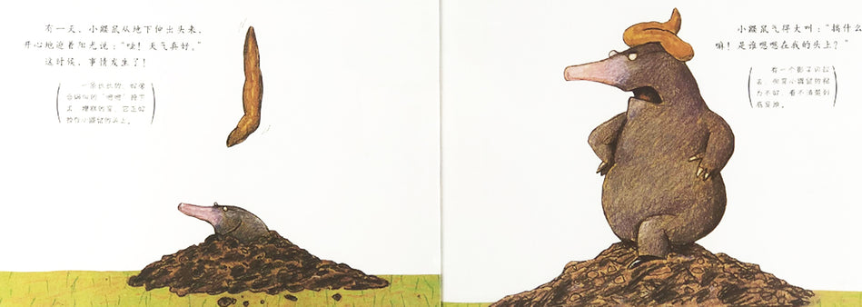 Who Did It On My Head 是谁嗯嗯在我的头上 Chinese Children Book 9787543464629 Eerner Holzwarth