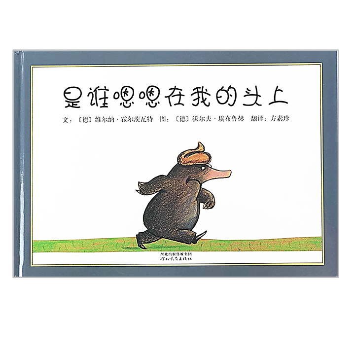 Who Did It On My Head 是谁嗯嗯在我的头上 Chinese Children Book 9787543464629 Eerner Holzwarth
