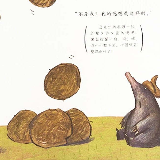 Who Did It On My Head 是谁嗯嗯在我的头上 Chinese Children Book 9787543464629 Eerner Holzwarth