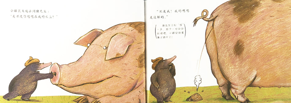 Who Did It On My Head 是谁嗯嗯在我的头上 Chinese Children Book 9787543464629 Eerner Holzwarth