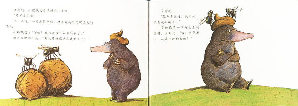 Who Did It On My Head 是谁嗯嗯在我的头上 Chinese Children Book 9787543464629 Eerner Holzwarth