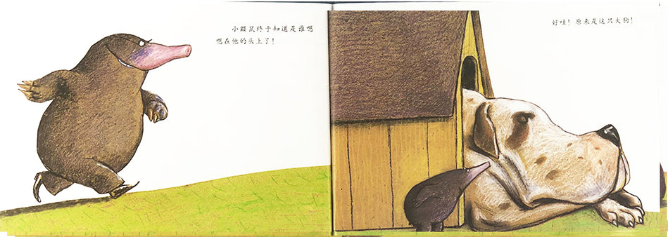 Who Did It On My Head 是谁嗯嗯在我的头上 Chinese Children Book 9787543464629 Eerner Holzwarth