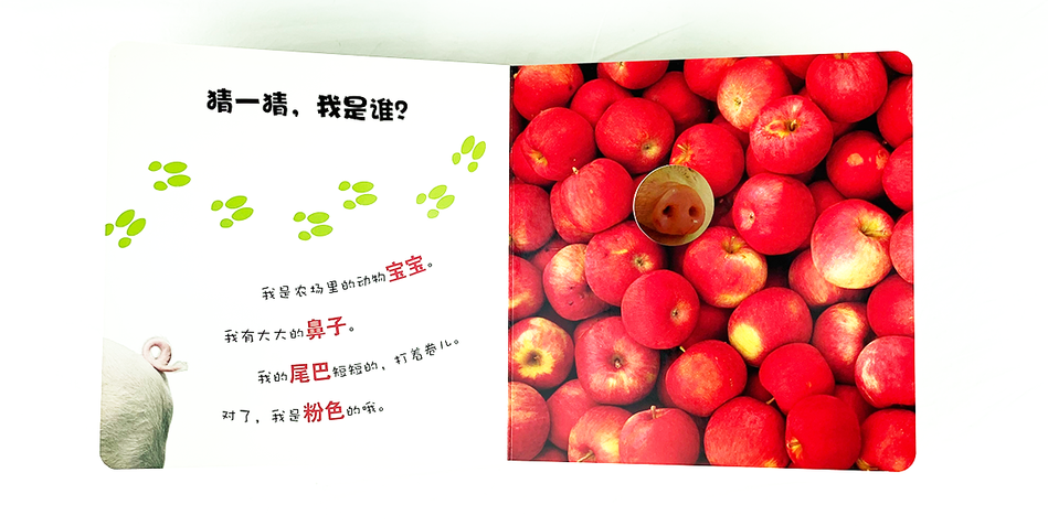 DK Who am I 大眼睛洞洞书6 book set Chinese children's book Montessori 农场里的小伙伴