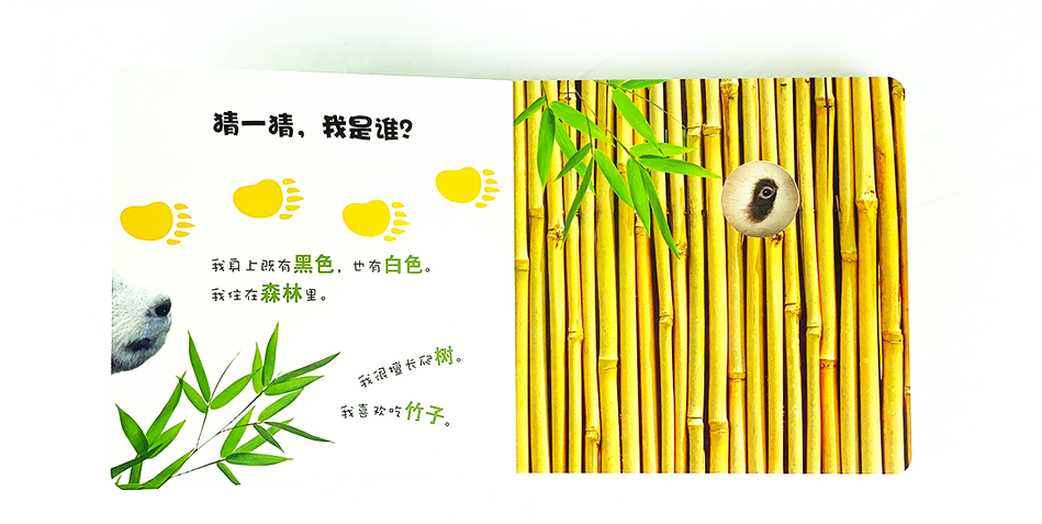 DK Who am I 大眼睛洞洞书 野生动物 Chinese children's book Montessori 9787304070922
