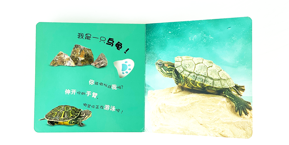 DK Who am I 大眼睛洞洞书 野生动物 Chinese children's book Montessori 9787304070922 宠物