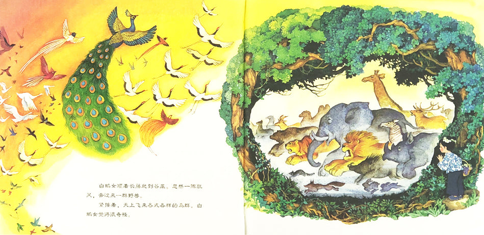 Wild Grapes 野葡萄 Chinese Children Book 9787538568738 葛翠琳