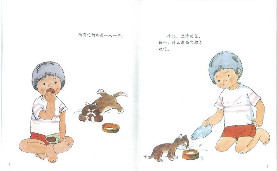 Xiao Tai's Little Cat 小泰的小猫 Chinese Children Book 9787539139333 Matsuko Yamamoto