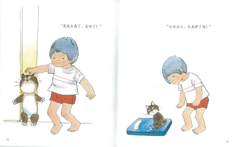 Xiao Tai's Little Cat 小泰的小猫 Chinese Children Book 9787539139333 Matsuko Yamamoto