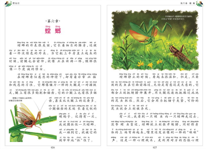 Young Adults Classics Souvenirs Entomologiques 昆虫记 Chinese children Book 9787547719039