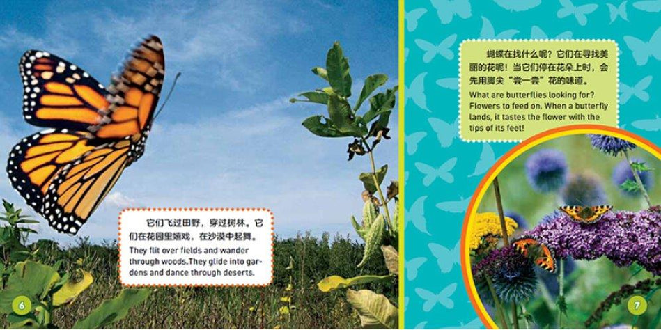 国家地理探索世界小百科双语 national geographic kids explore my world 9787559715661 children book chinese