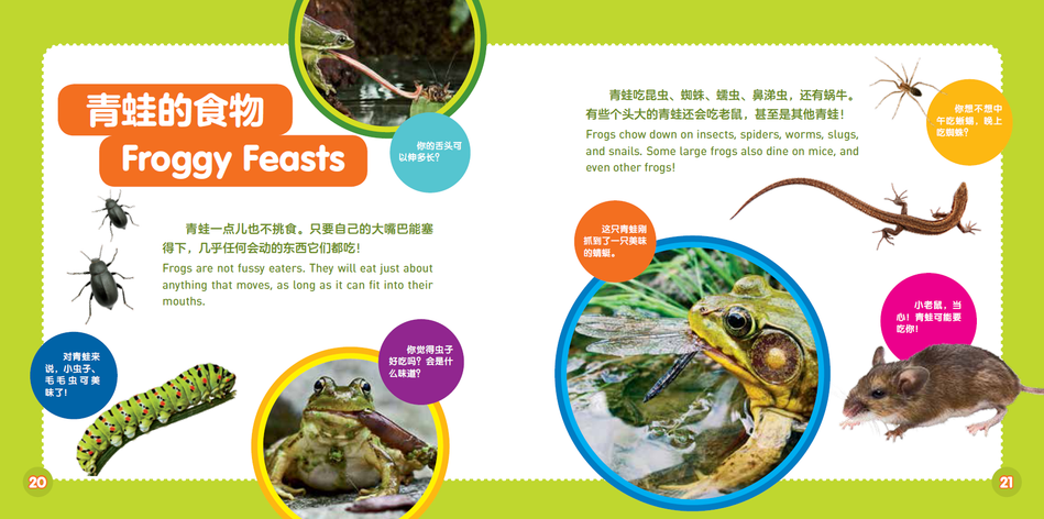 国家地理探索世界小百科双语 national geographic kids explore my world 9787559715661 children book chinese