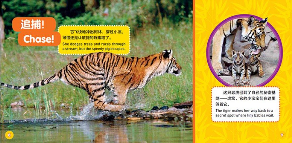 国家地理探索世界小百科双语 national geographic kids explore my world 9787559715661 children book chinese
