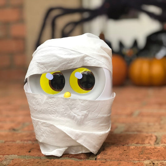 Who Read These Scary Chinese Books to My Child On This Busy Halloween?