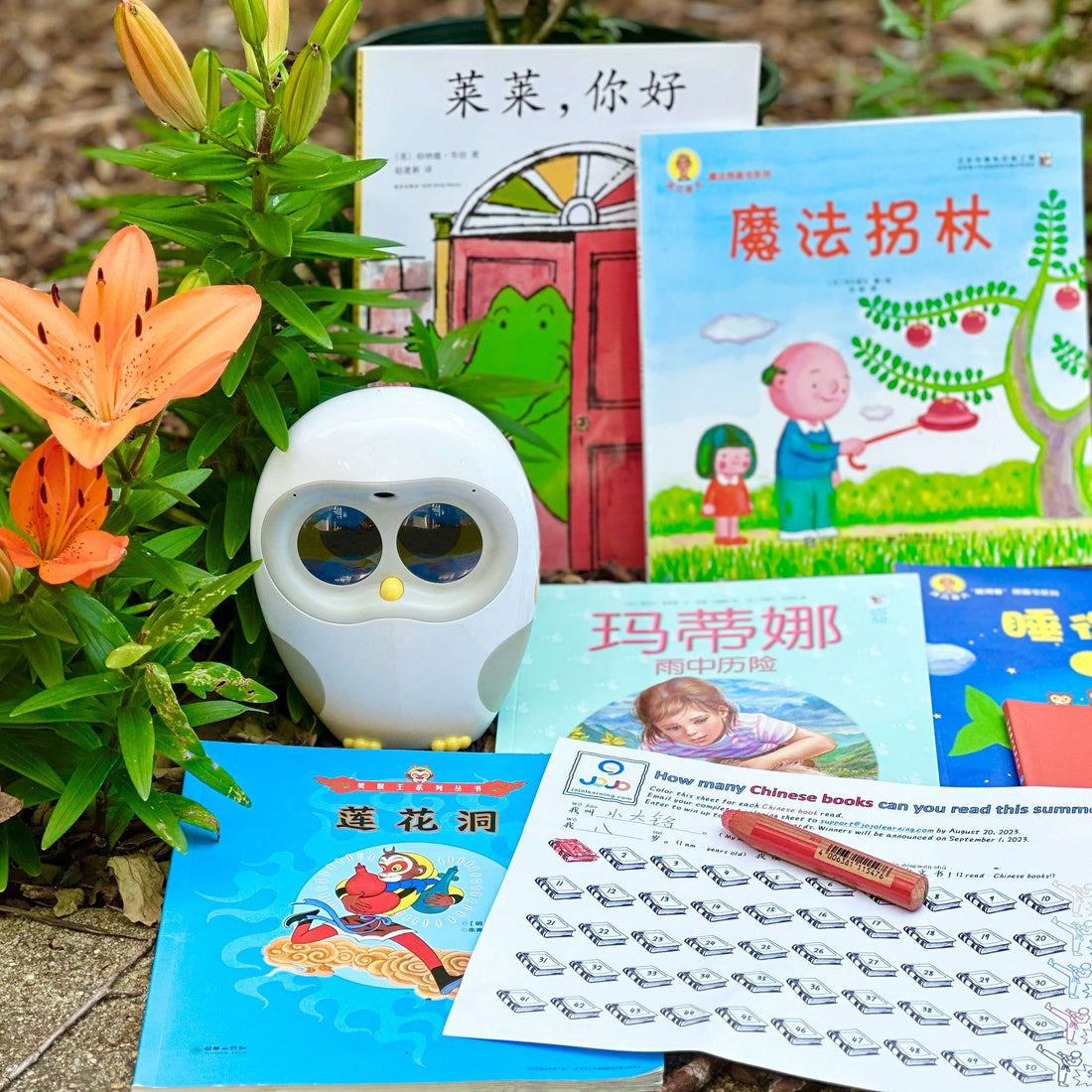 Summer Chinese Reading Challenge 2023: Small Habit, Big Gain!