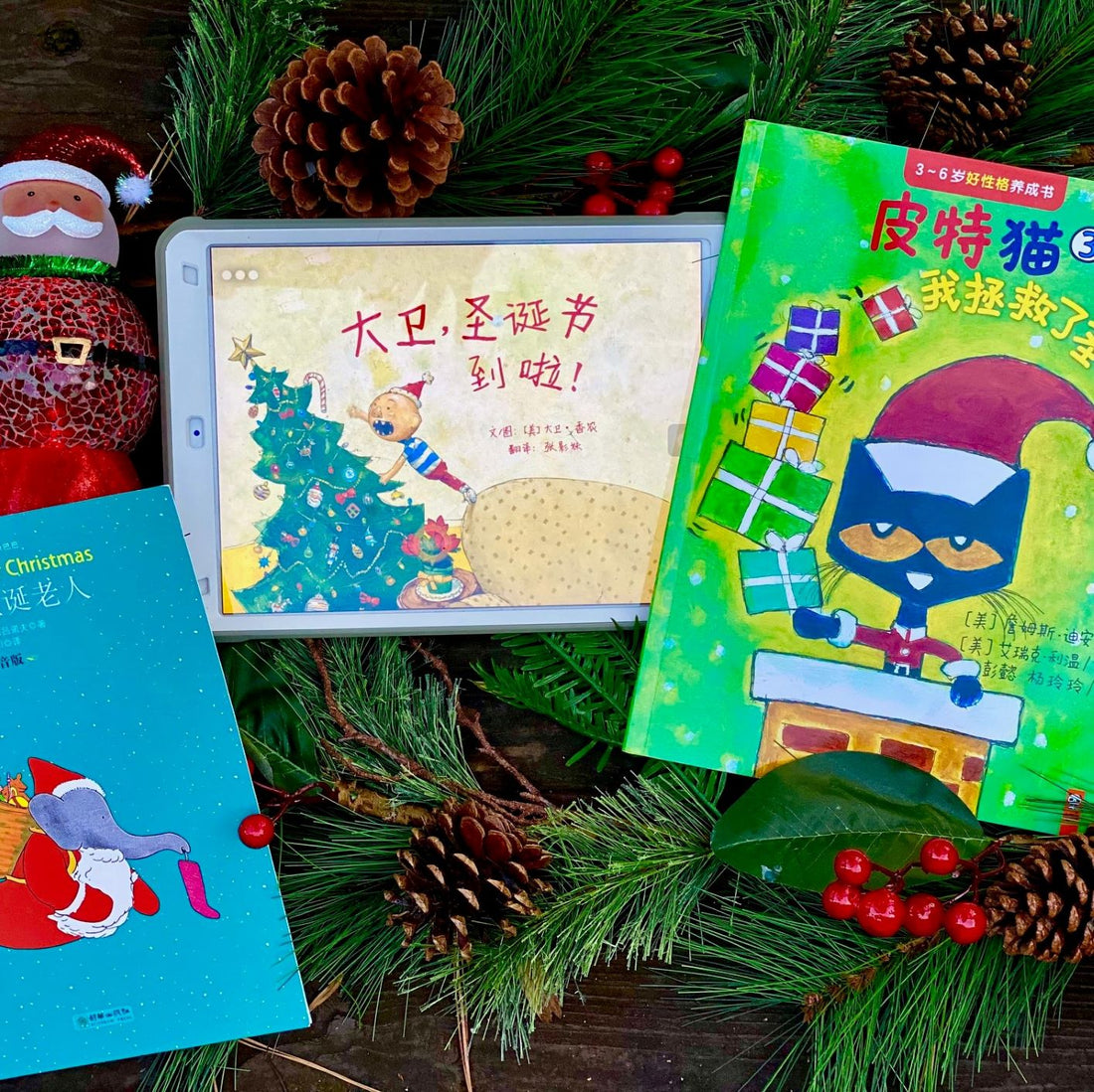 16 Great Christmas Books in Mandarin Chinese
