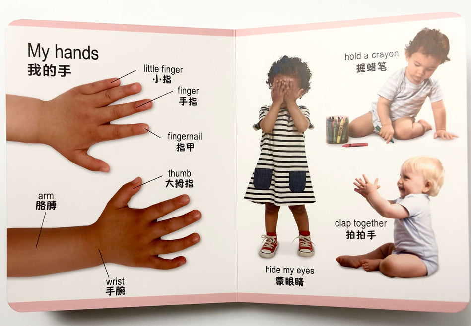 My First Words- 8 Bilingual DK Board Books in Chinese & English
